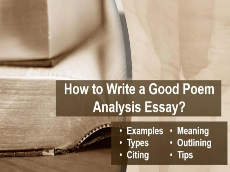 Poem Analysis Essay